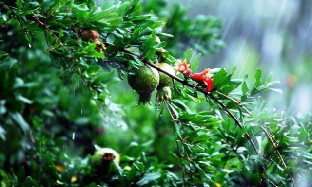 Καιρός: Πτώση της θερμοκρασίας με βροχές και καταιγίδες – Σε ποιες περιοχές θα βρέξει