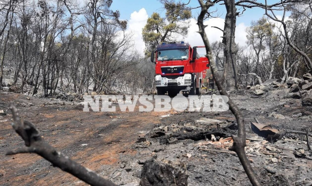 Φωτιά στα Βίλια: Ανησυχία για το μέτωπο που κινείται προς Μέγαρα –Τι λέει στο Newsbomb.gr ο Δήμαρχος