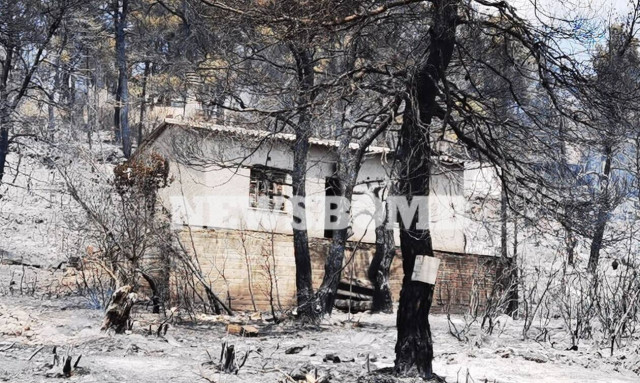 Φωτιά στα Βίλια: Προς την Πέραμο κινείται το μέτωπο - Ανησυχία για την ενίσχυση των ανέμων