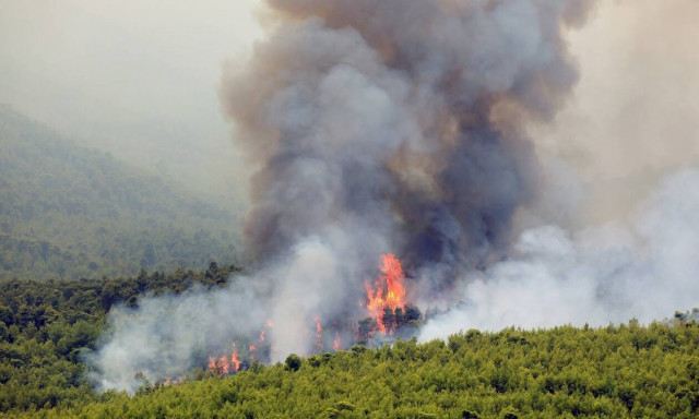 Πολύ υψηλός κίνδυνος πυρκαγιάς το Σάββατο 21 Αυγούστου - Ποιες περιοχές είναι στο «πορτοκαλί»