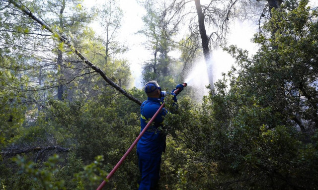 Φωτιά στα Βίλια: Ελέγχθηκε το μεγαλύτερο κομμάτι προς Μέγαρα – Συνεχής η μάχη με τις αναζωπυρώσεις