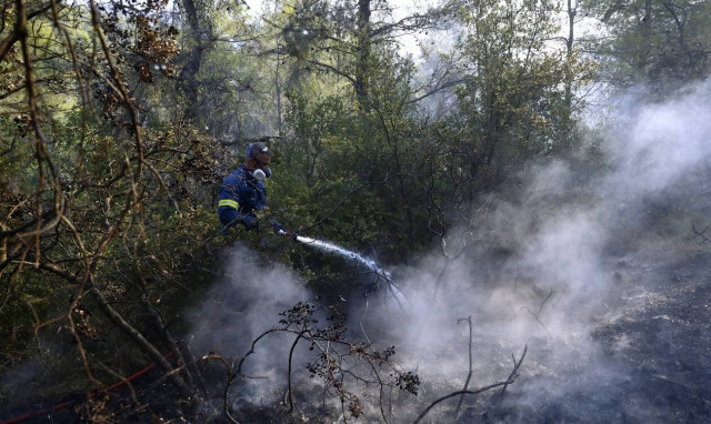 Φωτιά - Κάρυστος: «Υπό έλεγχο η φωτιά στο Μετόχι» λέει ο δήμαρχος