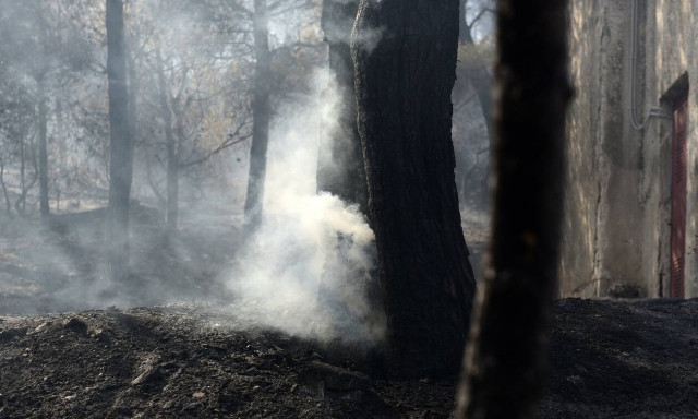 Φωτιά τώρα: Βελτιωμένη η κατάσταση με την πυρκαγιά στο Μετόχι Καρύστου Εύβοιας