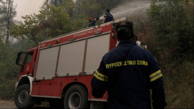 Τέλος το κυνήγι στις περιοχές που επλήγησαν από φωτιές - Τι προβλέπει η απόφαση