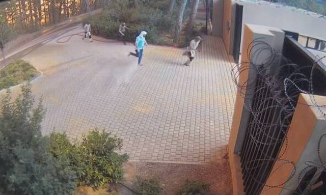 Φωτιά στη Βαρυμπόμπη: Η συγκλονιστική μάχη με τις φλόγες από την κάμερα του Tatoi Club