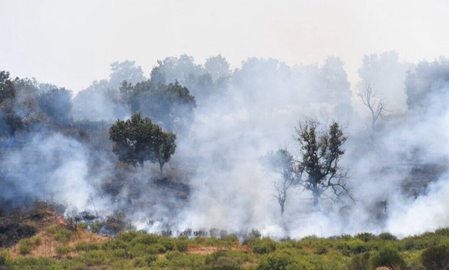 Ιταλία: Από την αρχή του χρόνου κάηκαν 1.580.000 στρέμματα δασικών εκτάσεων στη χώρα