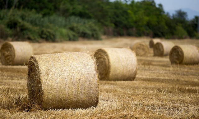 Τραγωδία στην Ξάνθη: Πατέρας παρέσυρε και σκότωσε τον γιο του με θεριζοαλωνιστική μηχανή