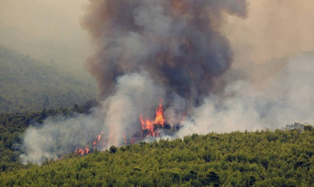 Φωτιά ΤΩΡΑ: Τριάντα εννέα δασικές πυρκαγιές εκδηλώθηκαν το τελευταίο 24ωρο σε όλη την Ελλάδα