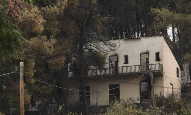 Σκρέκας για βόρεια Εύβοια: Ντόπιοι δασεργάτες και ρητινοκαλλιεργητές στην αποκατάσταση των δασών