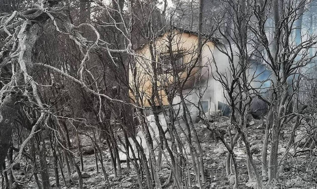 Τι πρέπει να προσέξουν οι ιδιοκτήτες ακινήτων σε αναδασωτέες περιοχές - Οι κρίσιμες 60 ημέρες