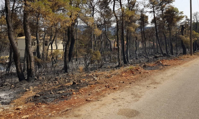 Συγκλονίζει ο πιλότος του Beriev - Το σπίτι του καιγόταν και εκείνος επιχειρούσε στις φωτιές