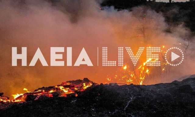 Φωτιά τώρα: Μάχη με τις φλόγες στην κορυφή Ηλείας – Δεν κινδυνεύει το χωριό