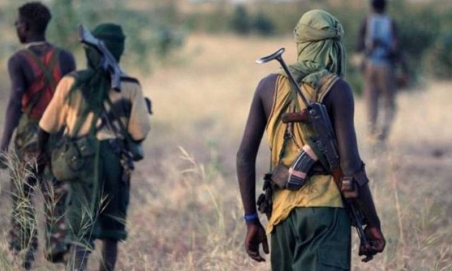 Νιγηρία: 17 νεκροί σε νέες επιθέσεις τζιχαντιστών