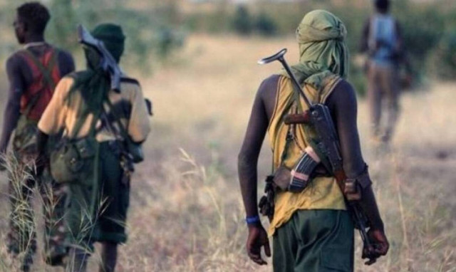 Νιγηρία: Νέα μαζική απαγωγή μαθητών από γυμνάσιο στην Πολιτεία Ζαμφάρα