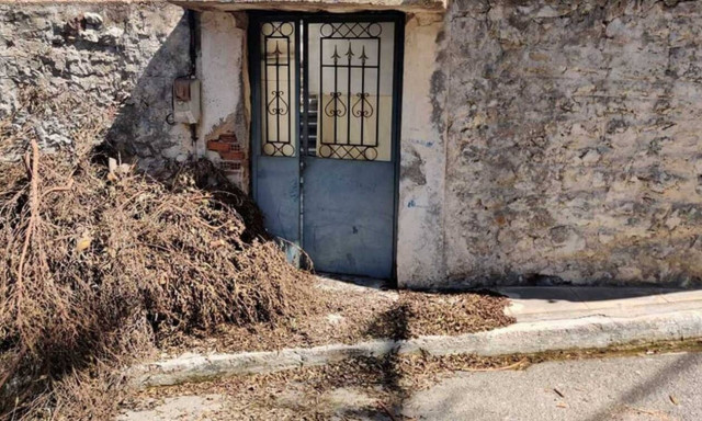 Θρίλερ στη Μεσσηνία: Εντοπίστηκε πτώμα γυναίκας - Ενδείξεις ότι πρόκειται για 42χρονη Ρουμάνα