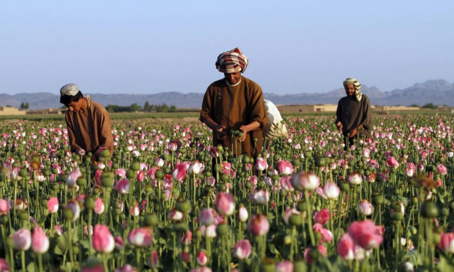 Ανίερη συμμαχία: Το ενδεχόμενο συνεργασίας των Ταλιμπάν με τα μεξικάνικα καρτέλ ναρκωτικών