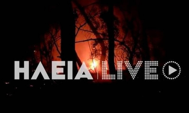 Φωτιά ΤΩΡΑ στην Ηλεία: Επιχειρούν ισχυρές δυνάμεις (vid)