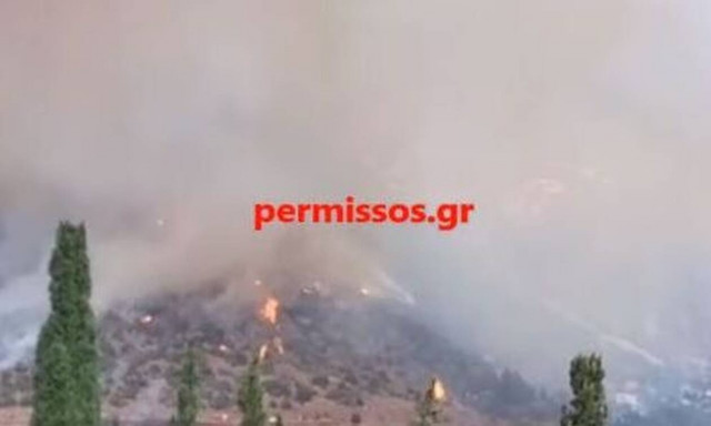 Φωτιά στην Παραλία Διστόμου στην Βοιωτία (7/9)