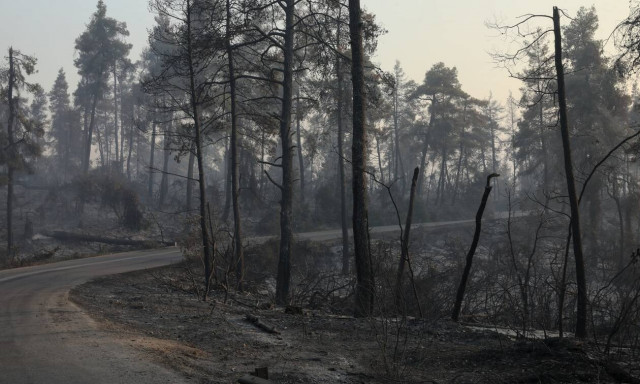 Εύβοια - Μαντούδι: Έκτακτη σύσκεψη του Συντονιστικού λόγω της κακοκαιρίας