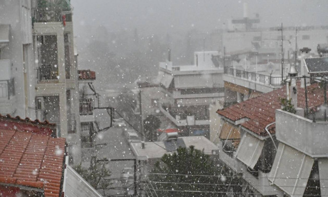 Πιστοποιητικά καιρικών συνθηκών ψηφιακά μέσω του gov.gr - Ποιοι θα μπορούν να τα χρησιμοποιήσουν