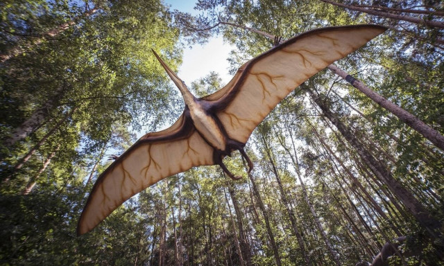 Τα απολιθωμένα λείψανα ενός πτερόσαυρου ανακαλύφθηκαν στη Xιλή