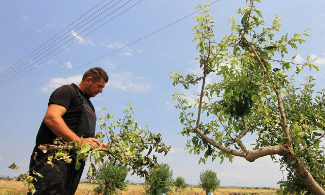 ΥπAAT: Ιδρύονται έξι νέα ΔΙΕΚ με επτά νέες ειδικότητες – Πότε ξεκινά η λειτουργία τους
