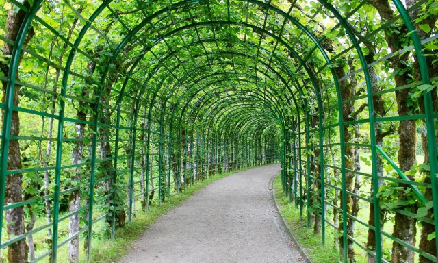 Τραγωδία στο Ηράκλειο: 47χρονος κρεμάστηκε σε κληματαριά