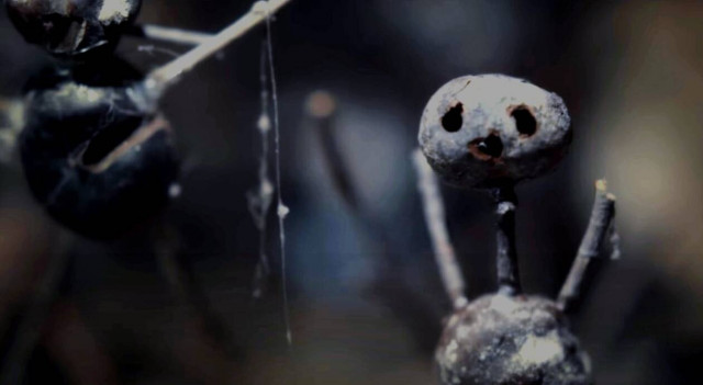 O Καστανάνθρωπος: Ένας serial killer σκορπά τον τρόμο στη νέα σειρά του Netflix