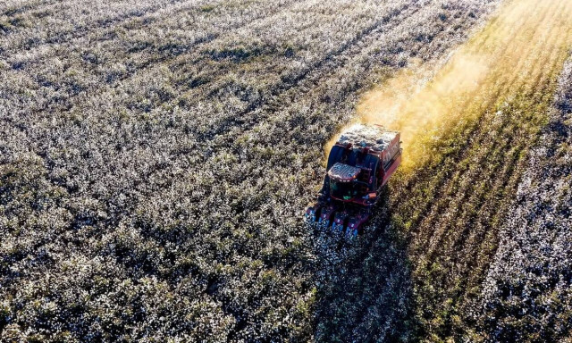 ΥΠΑΑΤ: Σε δημόσια διαβούλευση η Εθνική Στρατηγική για το βαμβάκι