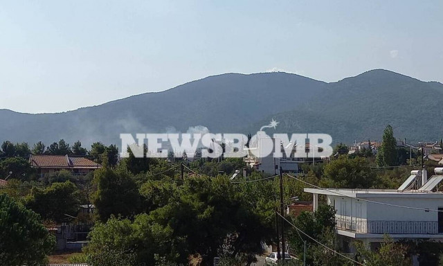 Φωτιά στην Πάρνηθα: «Fake» η καταγγελία σε βάρος 40χρονου για εμπρησμό