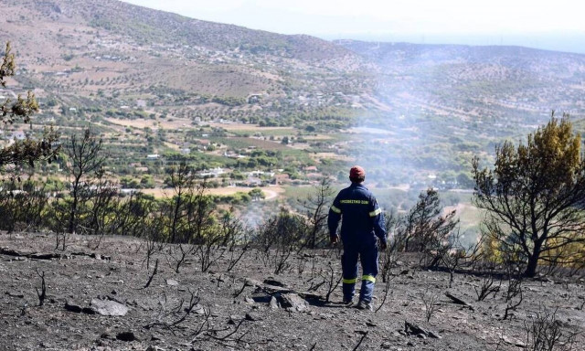 Πώς θα επιχορηγηθούν οι αγροτικές εκμεταλεύσεις των πυρόπληκτων