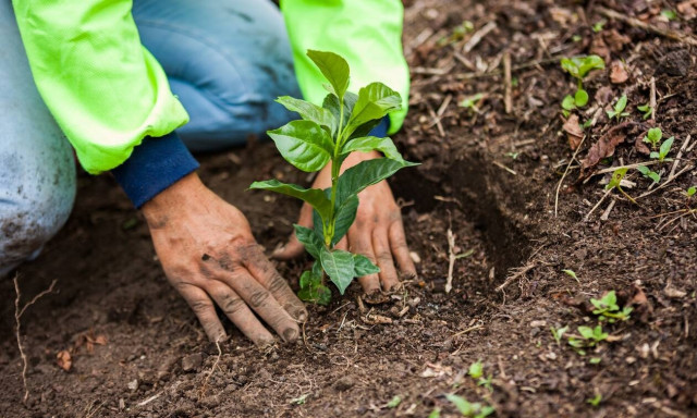 Η Nestlé παρουσιάζει το σχέδιο της για τη μετάβαση σε ένα αναγεννητικό σύστημα τροφίμων