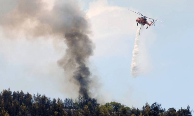 Φωτιά ΤΩΡΑ στην Εύβοια