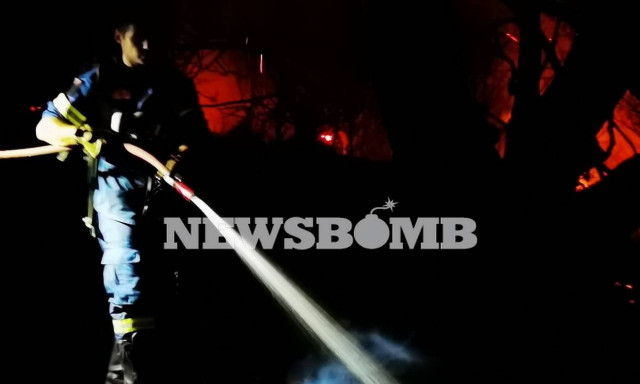 Φωτιά στη Νέα Μάκρη: Καλύτερη η εικόνα της πυρκαγιάς - Ενισχύθηκαν οι πυροσβεστικές δυνάμεις