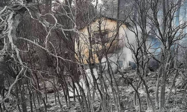 Αποζημιώσεις 28,6 εκατ. ευρώ έχουν καταβληθεί σε 5.768 πυρόπληκτους