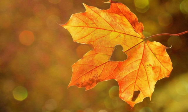 Φθινοπωρινή ισημερία: Και επίσημα... Φθινόπωρο από σήμερα