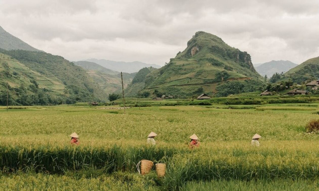 Γιατί το Βιετνάμ πρέπει να γίνει ο επόμενος ταξιδιωτικός προορισμός σου