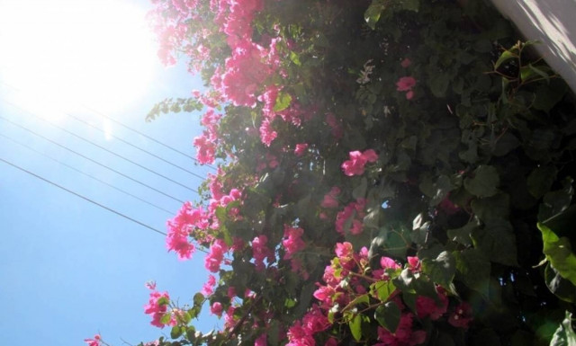 Βελτιώνεται ο καιρός την Παρασκευή (24/9) – Ανεβαίνει η θερμοκρασία, εξασθενούν οι βοριάδες