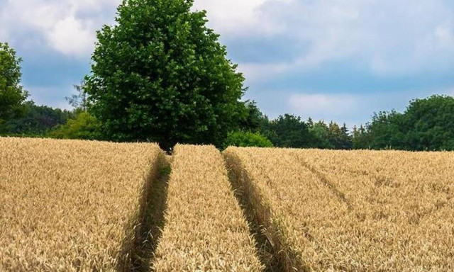 ΟΠΕΚΕΠΕ: Αυτή είναι η νέα εγκύκλιος για τους νέους αγρότες