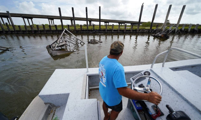 Αλιγάτορας Λουιζιάνα ανθρώπινα μέλη