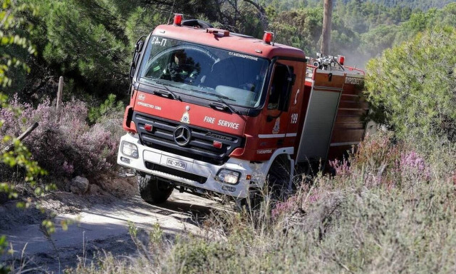 Φωτιά τώρα στο Κιλκίς, σε περιοχή του Δήμου Παιονίας