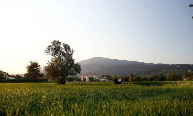 Καλοκαιρινός σήμερα ο καιρός - Πού θα «σκαρφαλώσει» ο υδράργυρος