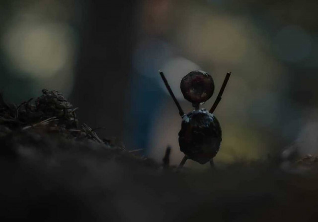 The Chestnut Man Netflix