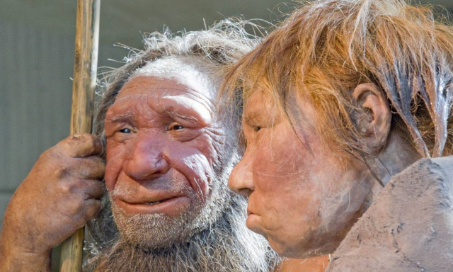 Μυστικός θάλαμος σφραγισμένος για 40.000 χρόνια ρίχνει φως στον πολιτισμό των Νεάντερταλ