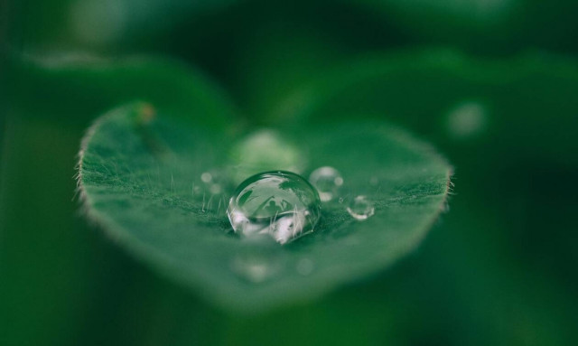 Περιβαλλοντικό αποτύπωμα: Τα 5 πιο συνηθισμένα λάθη που κάνουμε καθημερινά