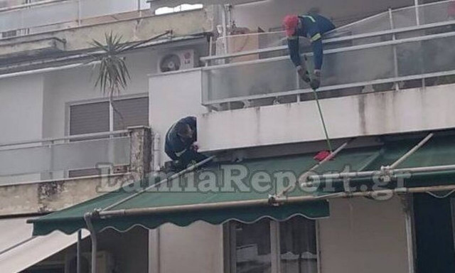 Λαμία: Η Πυροσβεστική έσωσε κουνέλι που είχε «δραπετεύσει»