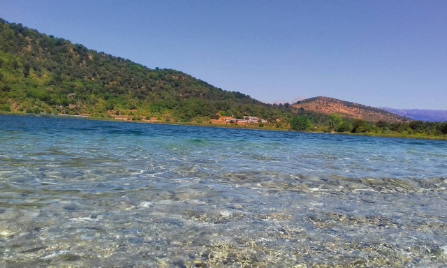 Ιωάννινα: Μέδουσα… Κίνας στη λίμνη Ζαραβίνα