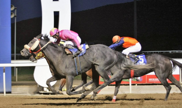 Η κορυφαία ιπποδρομία της χρονιάς τη Δευτέρα στο Markopoulo Park