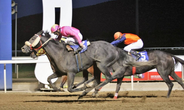 Η Veganact καλλιεργεί φυτικές και υπεύθυνες συνήθειες  στο Vegan Life Festival 2021