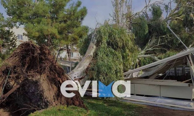 Κακοκαιρία: Η «Αθηνά» ρήμαξε τα πάντα και στην Ερέτρια - Τεράστιες καταστροφές σε καταστήματα (pics)